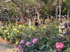 -人民公园(罗湖区)