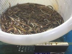 -清水湾3号(东方小周海鲜店)