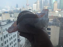 -上海外滩华尔道夫酒店