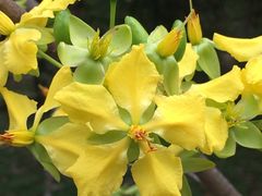 -华南国家植物园-售票处