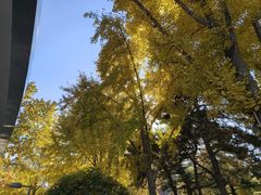 -红像馆连锁精致证件照职场照(中关村店)