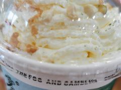 -雾与山茶(大禹城店)