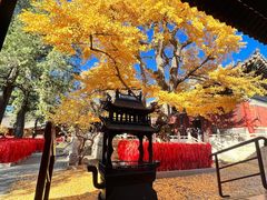 -红螺寺