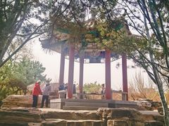 -丰台花园