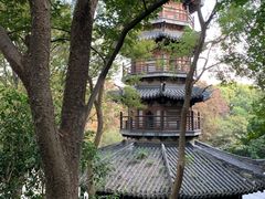 -上海佘山国家森林公园西佘山园