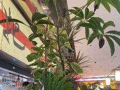-桂满陇·蟹黄小笼汤包(中山公园店)