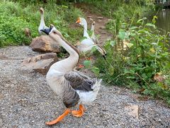 -伊隆斋(什刹海店)