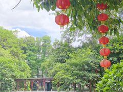 -荔湾湖公园