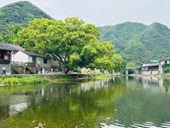 -鹿亭中村
