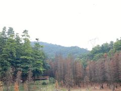 -广州市帽峰山景区