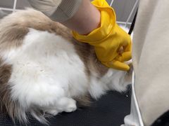 -它主义宠物(梁溪万达店)