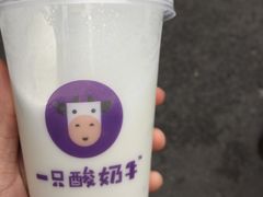 -一只酸奶牛(八一路店)