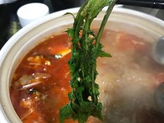 -黔府豆米火锅野菜馆(南马店)