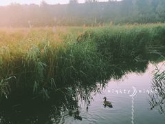 -前关湿地公园