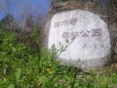 -白水寺森林公园