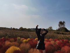 -映月湖中央公园