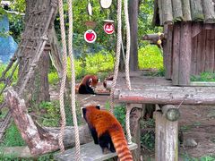 -宁波野生动物园