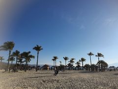 -月亮湾湿地公园