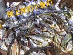 -阿弟特色海鲜餐厅·大排档(平潭店)