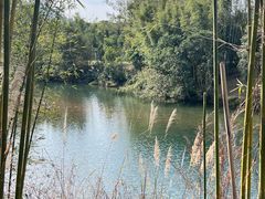 -水底山庄园温泉