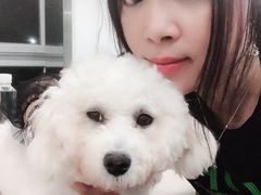 -爱侣宠医·鹦鹉专科·小型哺乳类·异宠专科(灵石路店)