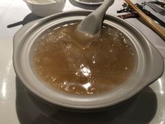 -新同乐鱼翅酒家(美丽华店)