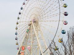 -琴岛之星摩天轮