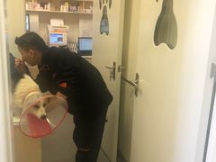 -爱诺耐芙动物医院(万博店)