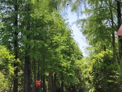 -西溪国家湿地公园