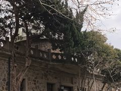 -紫金山天文台