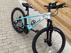 -道路口单车爱瓦士dahon大行