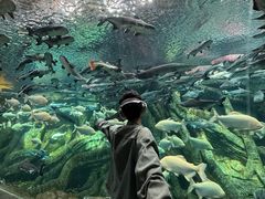 -波塞冬旅游度假区