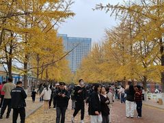 -辽宁大学(崇山校区)