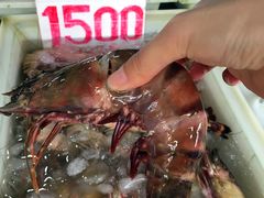 -拉威海鲜市场
