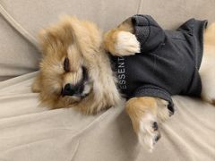 -怪兽屋·羊驼·猫咖·狗咖(俊华广场店)