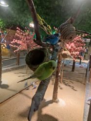 -酷嗒动物文化乐园(cutezoo西溪乐天城店)