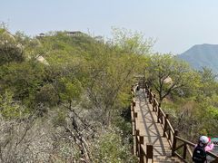 -大岭沟猕猴桃谷风景区