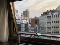 -JR东日本大都会大饭店东京城