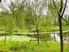 -东郊湿地公园