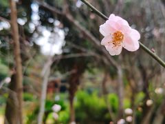 -章记正宗南岗鱼蛋火锅