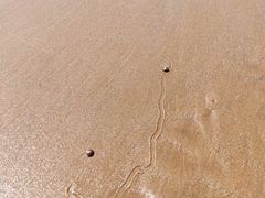 -长兴岛海滨公园