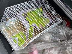 -钓仓鼠(洋桥北里小区店)