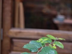 -囧人粗品·泰国街市料理(霖峰店)