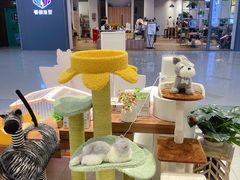 -狗道宠物(常熟印象城店)