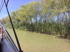 -焦岗湖旅游度假区