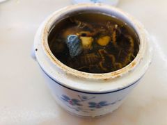 蝎子党参乌鸡汤-国英炖品店(甲子路店)