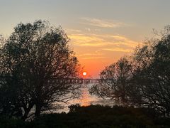 -宝安西湾红树林湿地公园