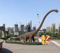 -恐龙探索乐园(磁器口店)