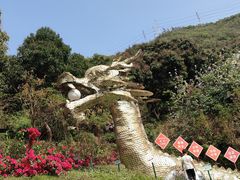 -青青世界