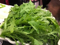 -蝎王府羊蝎子(西直门店)